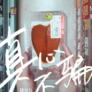 午夜福利激情短视频在线
